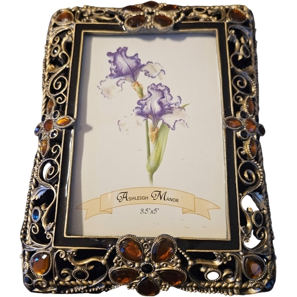 Ashley Manor Other - 🦉Ashleigh Manor jeweled picture frame in black enamel with amber & blue crystal